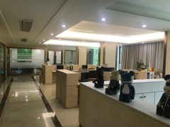 湛江網絡科技 盈動立足本土，智啟未來新篇章