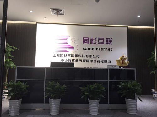 科技雙城記 上海同衫與湛江網絡的創新交響